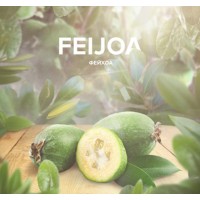 Тютюн 4:20 TEA LINE Фейхоа - Feijoa 125gr