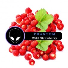 Тютюн PHANTOM WILD STRAWBERRY (Суниця) MEDIUM 100 gr