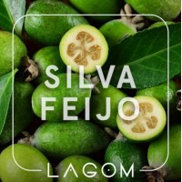 Табак Lagom Main Silva Feijo (Фейхоа) 40 gr