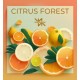 Тютюн WhiteSmok Citrus Forest (Апельсин, Лимон, Грейпфрут) 50gr