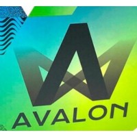 Вугілля кокосове Avalon Horeca 25 мм 72 шт (Без коробки)